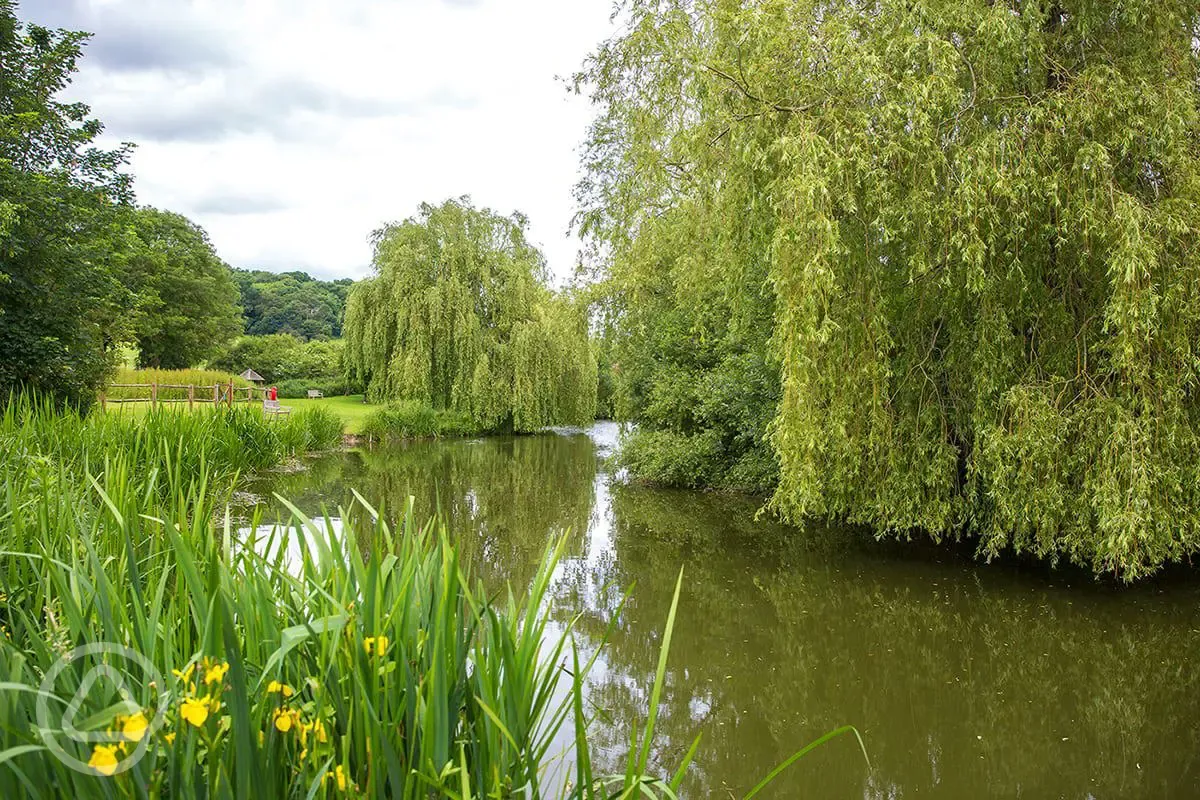 Lakeside setting