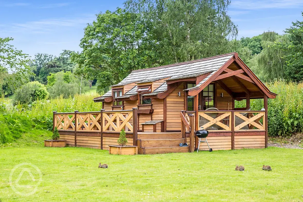 Montana mini cabin