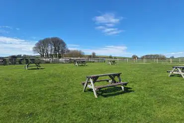 Picnic benches