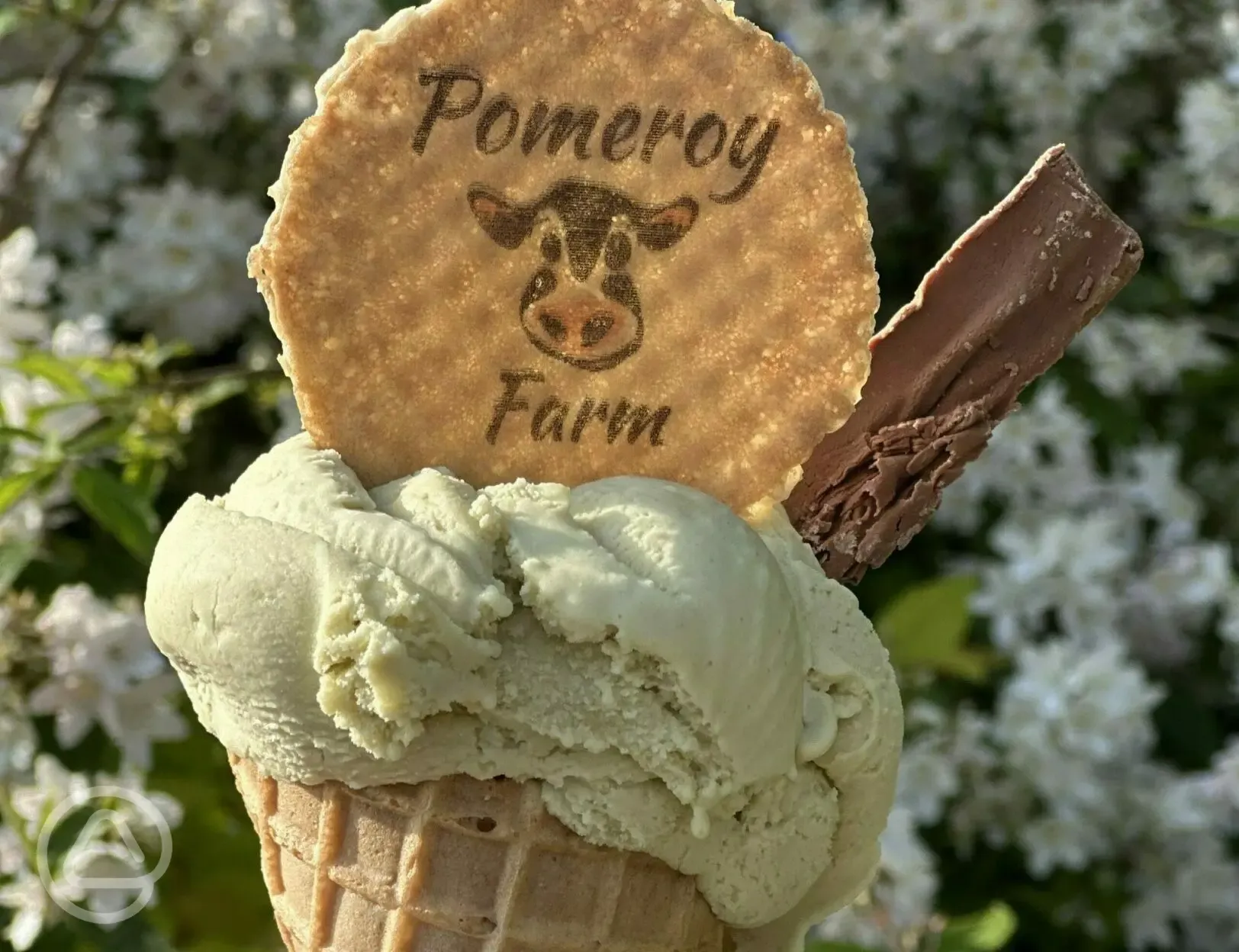 Onsite ice cream made from milk from the site's own cows