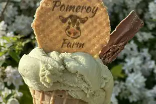 Pomeroy Caravan Park, Pomeroy, Buxton, Derbyshire