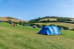 Big Berries non electric grass pitches