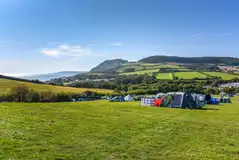 Big Berries non electric grass pitches for tents, trailer tents and VWs