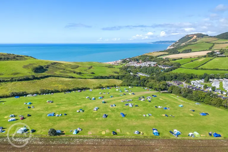 Big Berries non electric grass pitches with sea views at Golden Cap Holiday Park