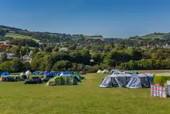 Tents on the Big Berries non electric grass pitches