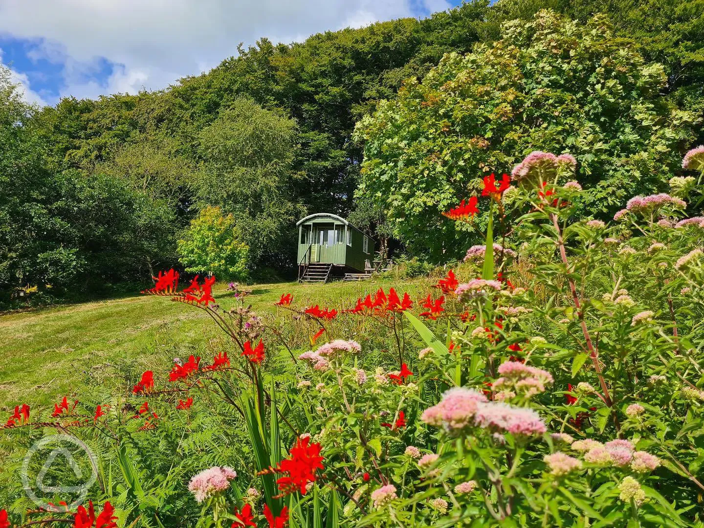 Shepherd's hut