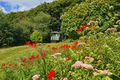 Shepherd's hut Shepherd's hut
