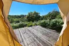 Foxglove bell tent Foxglove bell tent