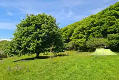 Non electric grass pitches