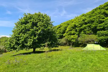 Non electric grass pitches