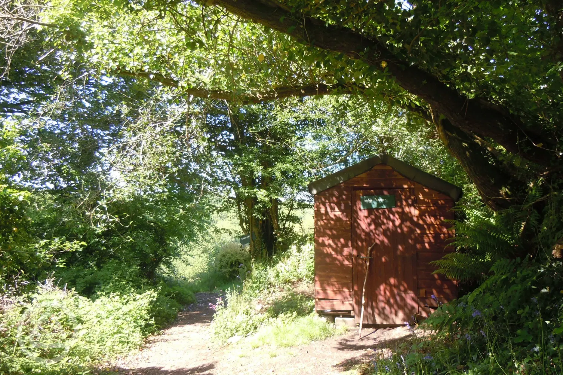 Shared fridge and freezer facilities