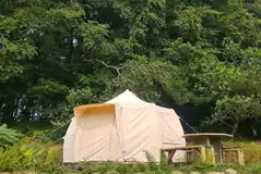 Foxglove bell tent Foxglove bell tent