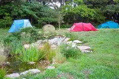 Non electric grass pitches