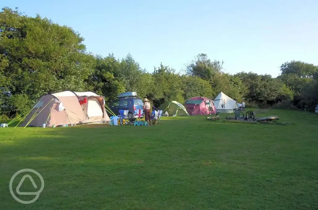 Non electric grass pitches