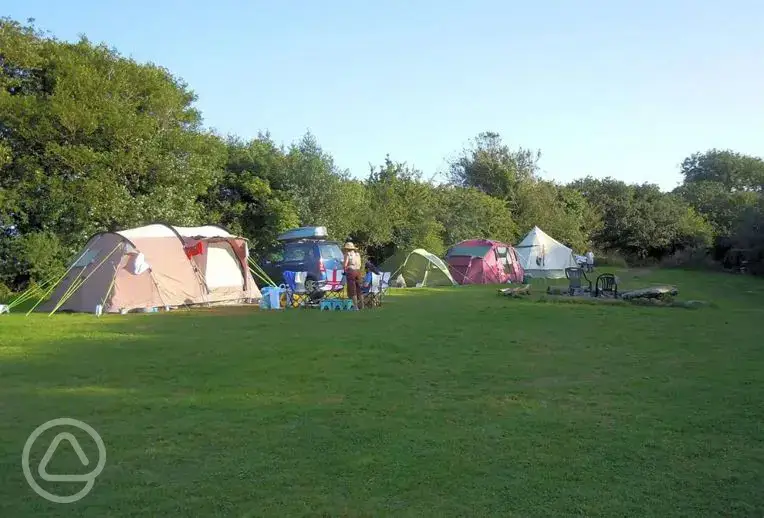 Non electric grass pitches