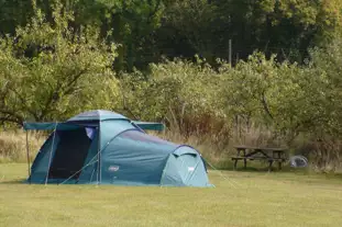 Apple Acres, Tonbridge, Kent