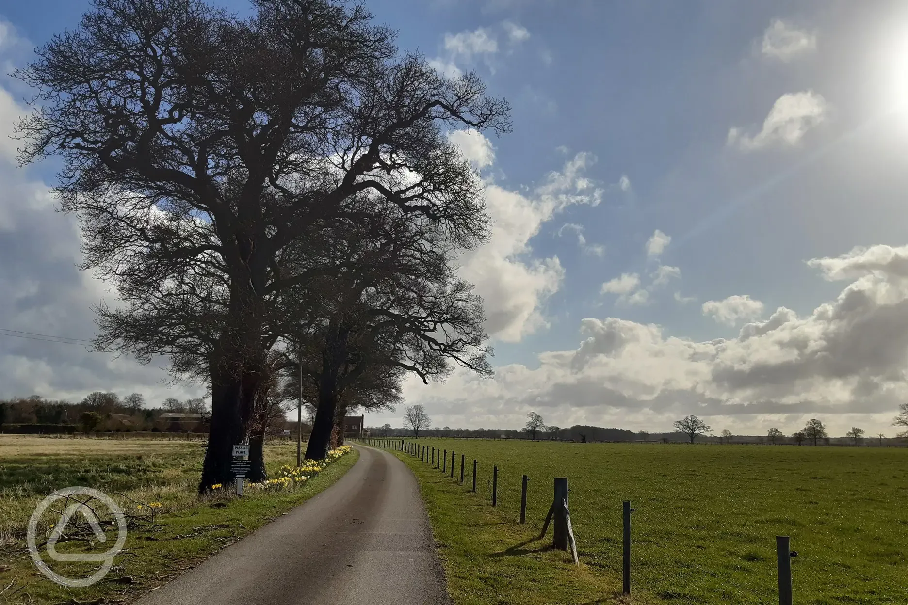 Driveway