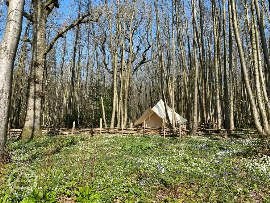 Woodland bell tent
