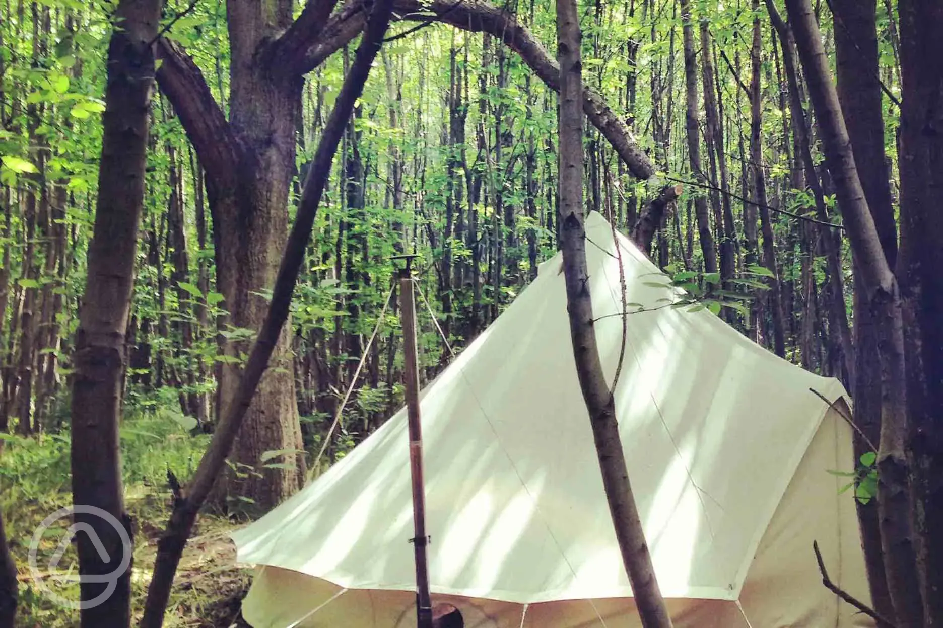 Bell tent in camp