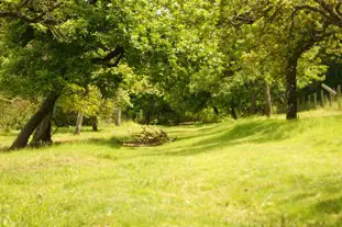 Ball Hill Farm, Wrantage, Taunton, Somerset (6.2 miles)