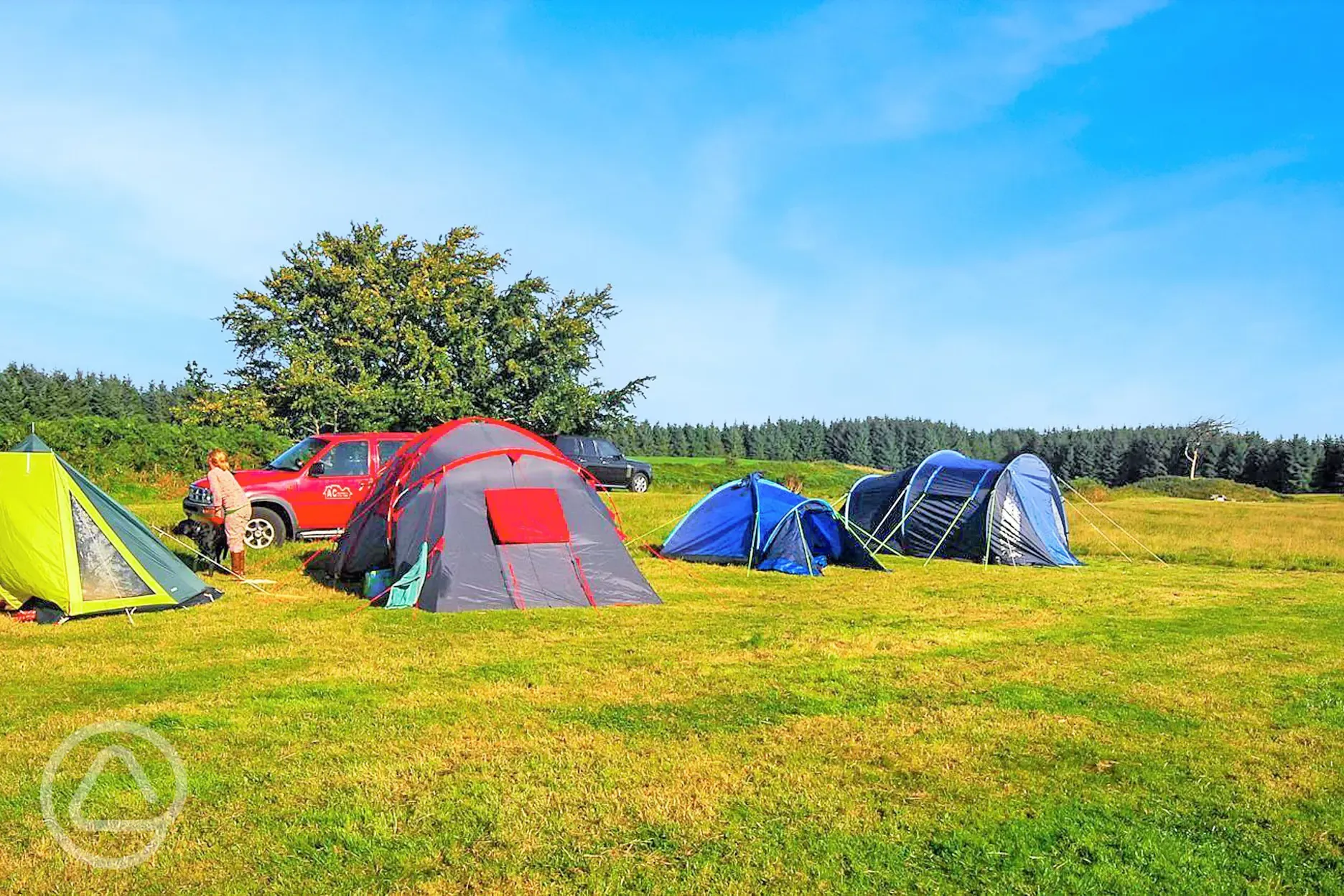 Non electric grass pitches