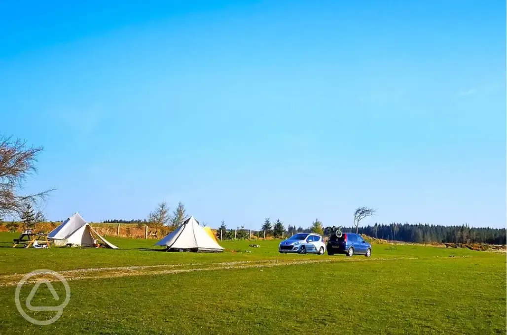 Non electric grass pitches