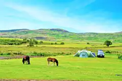 Non electric grass pitches beside livestock
