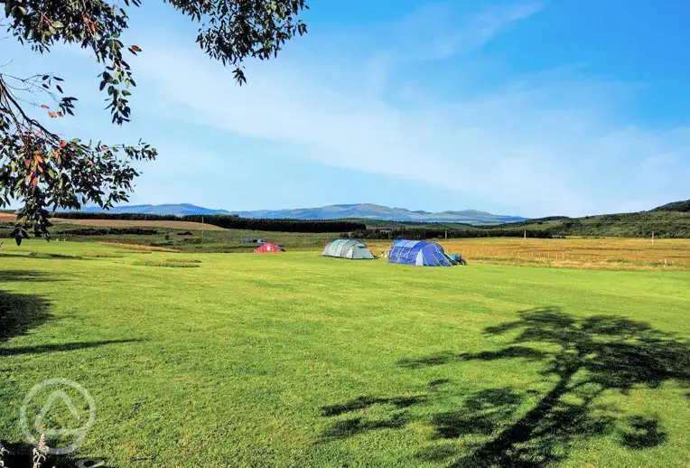 Non electric grass pitches