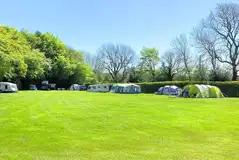 The main camping field at Bank Top Camping bordered by hedges and trees
