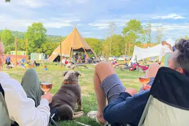 Couple sitting in the events area with dog