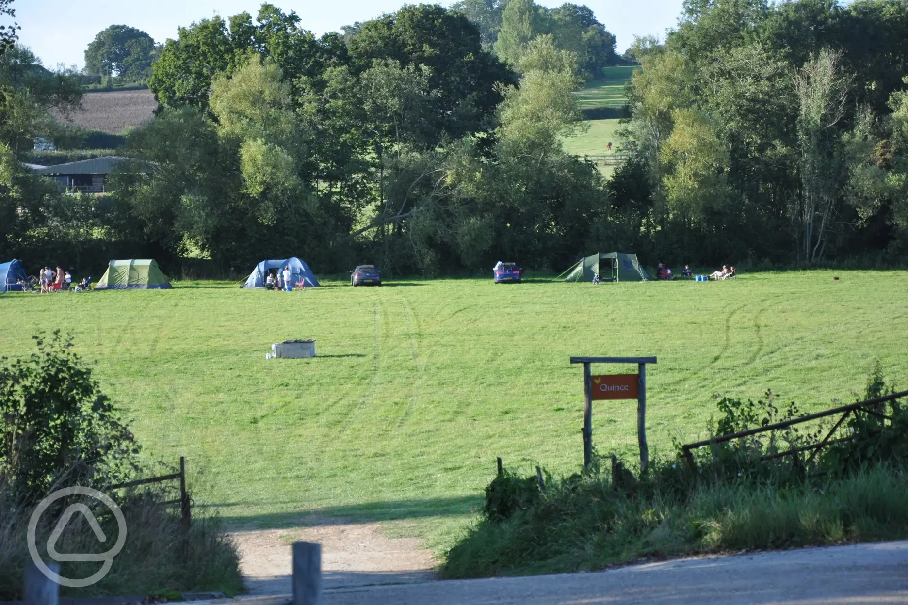 Camping fields at Bedgebury Camping