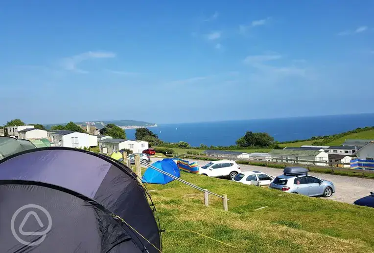 Tent camping at Beer Head Caravan Park