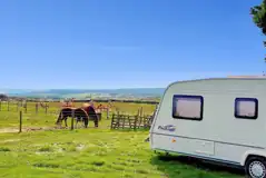 Electric grass pitches and neighbouring horses