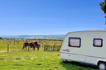 Electric grass pitches and neighbouring horses at Bent Rigg Farm Campsite
