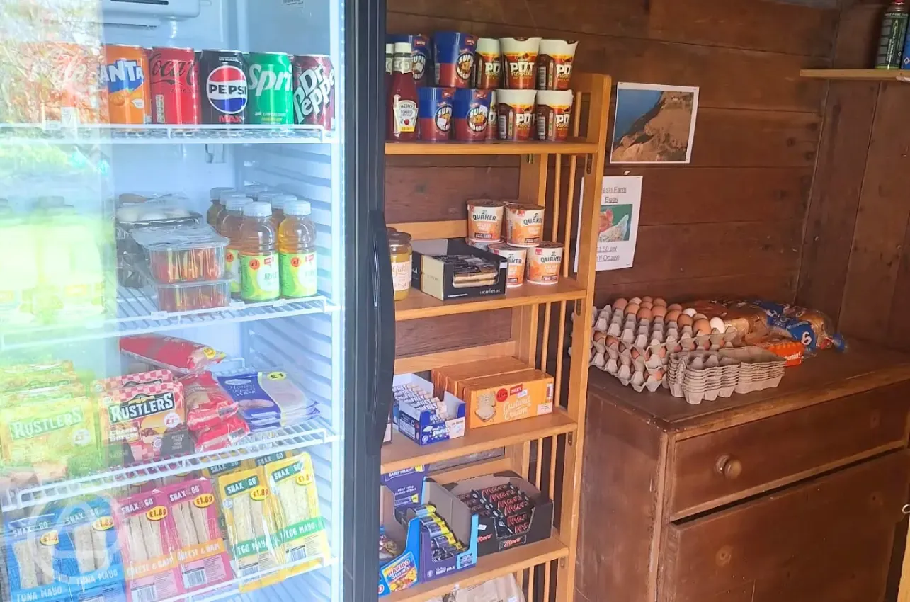 Camp essentials shop