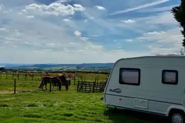 Caravan pitches with neighbouring animals