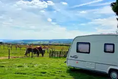 Electric grass pitches and neighbouring horses Electric grass pitches and neighbouring horses