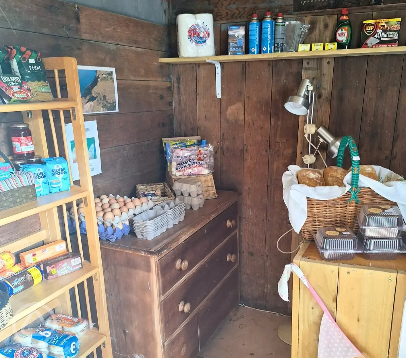 Camp essentials shop
