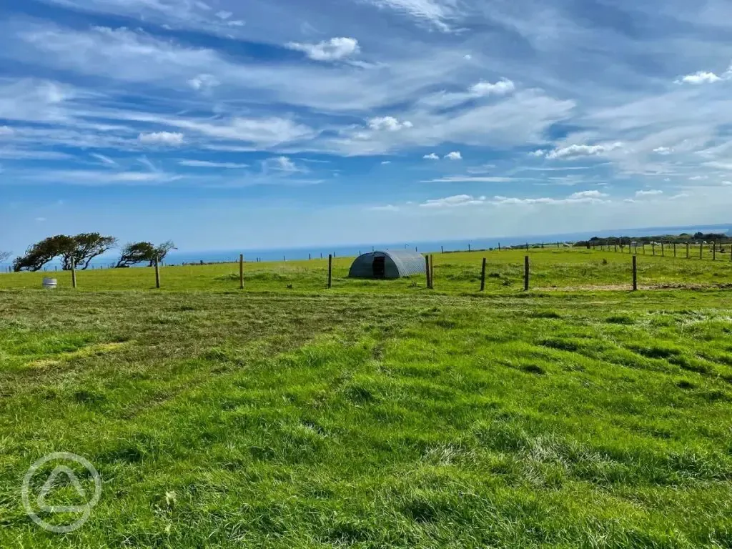 Tent pitches with a view at Bent Rigg Farm