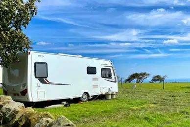 Bent Rigg Farm Campsite