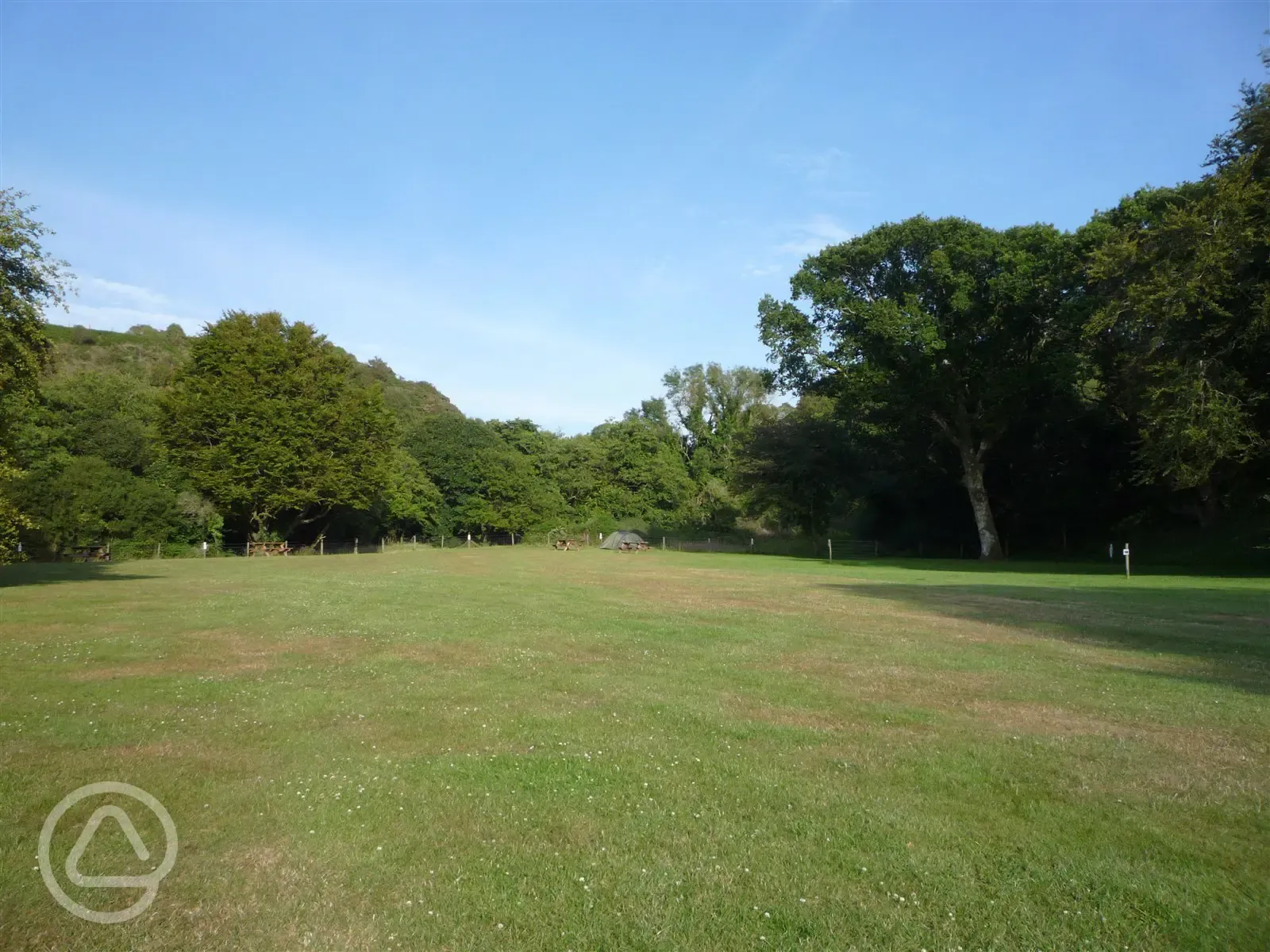 Scout Field Brandy Brook