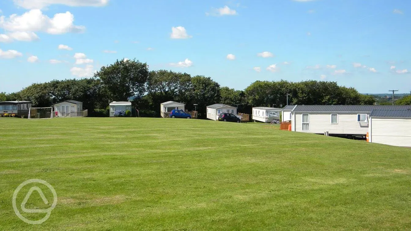 Grass pitches (optional electric)