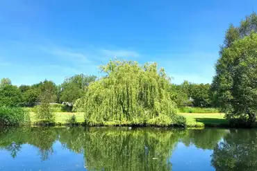 Private lake with fishing available (booking and rod license required)