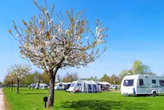 Electric grass pitches (5.5m x 10.1m) at Broadmeadow Touring Park
