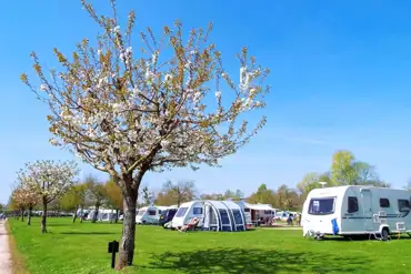 Electric grass pitches with 16 amp hook up (5.5m x 10.1m)