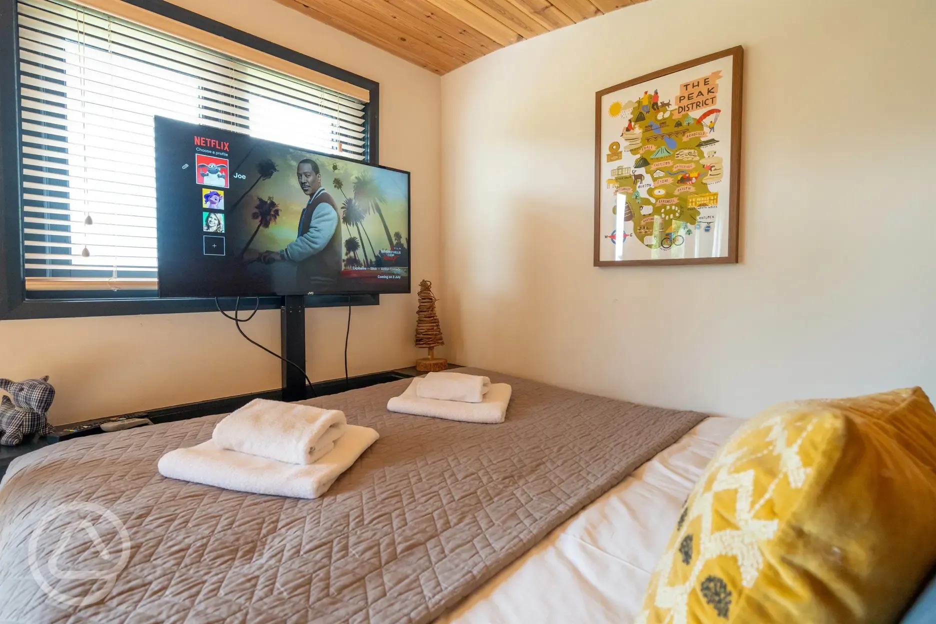 Robin's Nest glamping cabin bed and TV