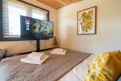 Robin's Nest glamping cabin bed and TV