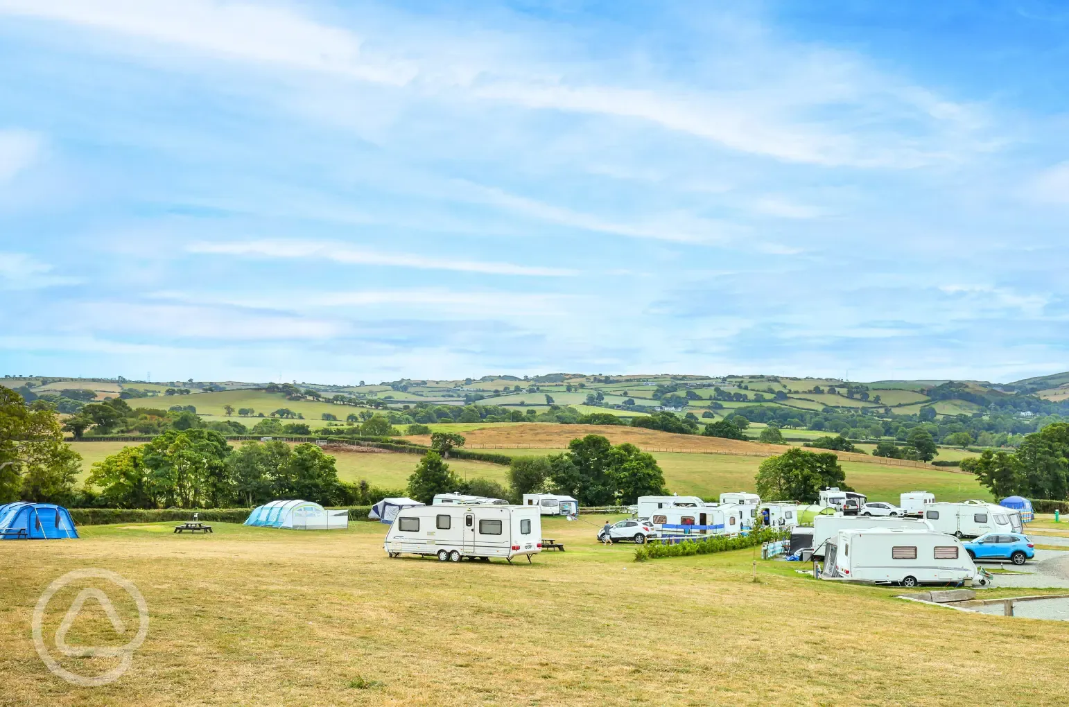 Bronze electric grass pitches
