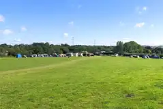 Non electric grass pitches at Buckhurst Campsite