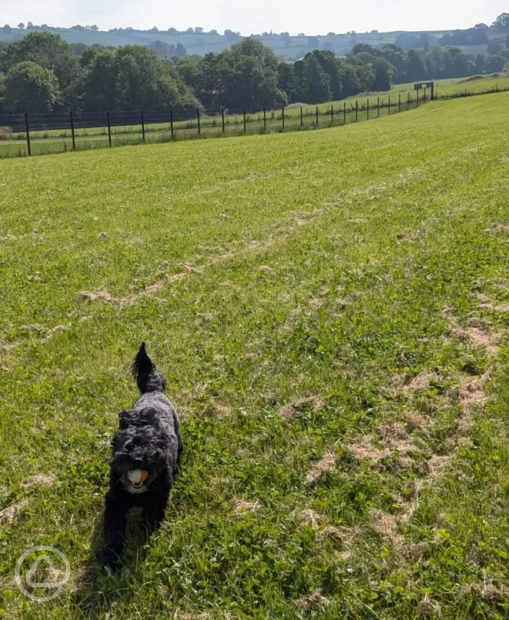 Fully enclosed dog exercise field